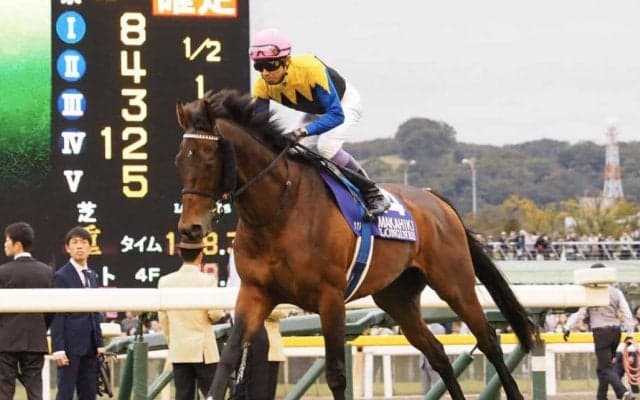 マカヒキが競走馬登録抹消