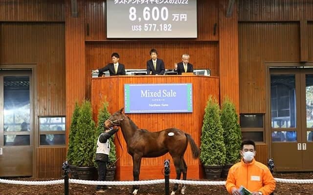 ミックスセール2022レポート 億超えは生まれずとも来年以降の盛況を予感させた初開催