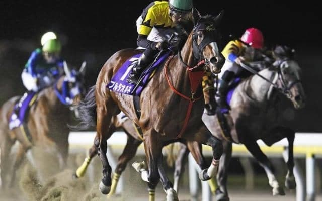【船橋・平和賞結果】道営所属プルタオルネが全日本2歳優駿TRを制す、本橋孝太騎手は今年の重賞10勝目