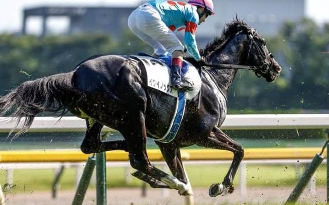 【天皇賞・秋展望】古馬中距離GI開幕戦に豪華メンバー集結、中でもあの馬に期待したい