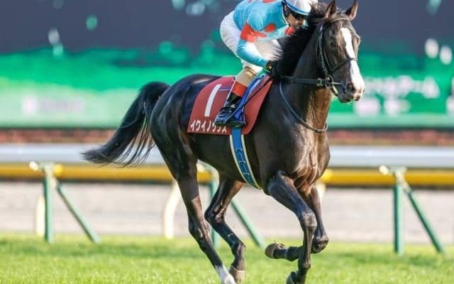 【天皇賞・秋枠順確定】イクイノックスは4枠7番、ジャックドールは5枠9番