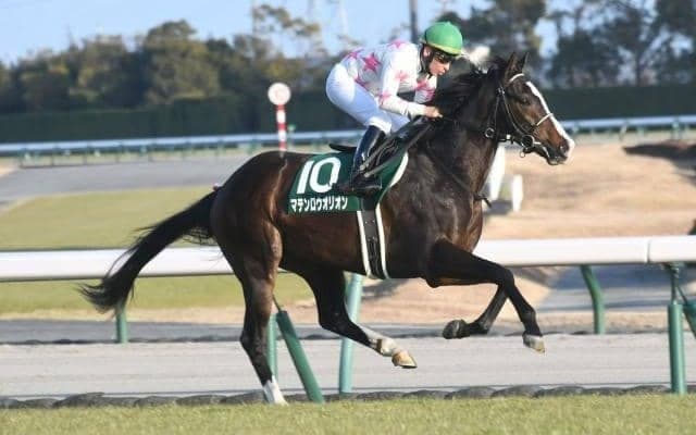 【スワンS出走馬・騎手確定】マテンロウオリオン＆横山典弘騎手、ホウオウアマゾン＆C.デムーロ騎手など18頭