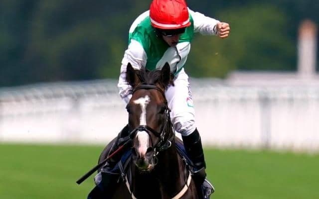 キングジョージ覇者のジャパンC参戦は実現せず… 年内休養で来年のドバイに照準