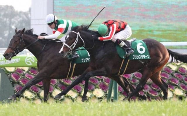 サンクテュエールが競走馬登録抹消