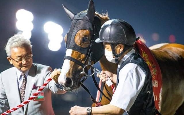 【盛岡・JBCレディスクラシック出走予定馬】ショウナンナデシコ、グランブリッジら