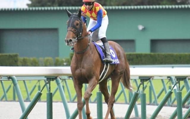 【盛岡・JBCクラシック出走予定馬】テーオーケインズ、メイショウハリオら