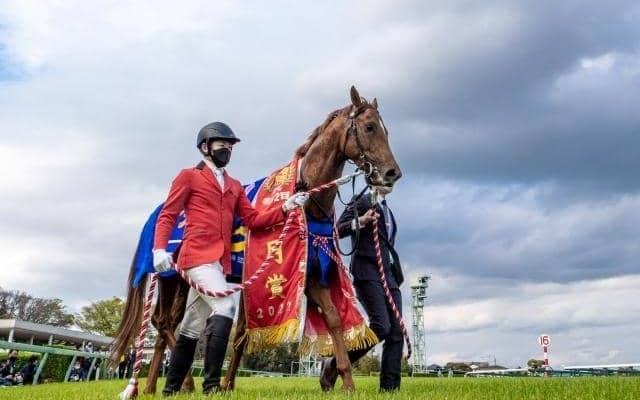 【天皇賞・秋 調教後馬体重】ジオグリフは前走から+24kg パンサラッサやダノンベルーガも2ケタ増加