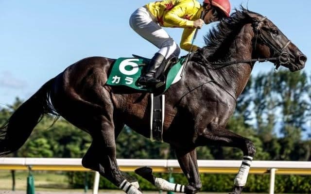天皇賞秋に出走する15頭の馬名意味・香港馬名を紹介！ 『北橋』『傾城猛火』はどの馬？