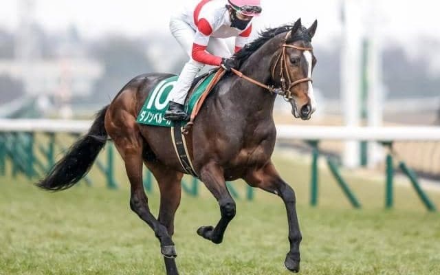 おれはやるぜ。何かを/島田明宏