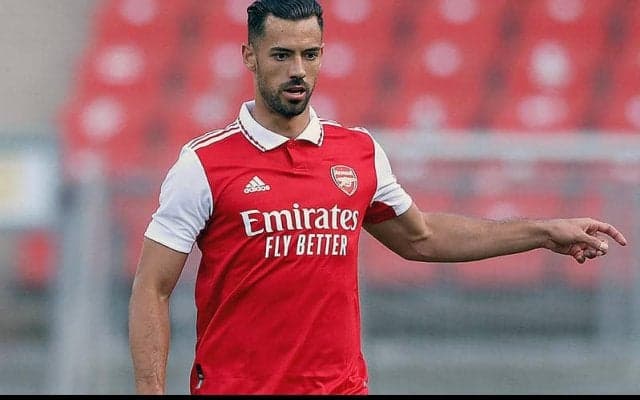 無差別刺傷事件に巻き込まれたパブロ・マリは命に別状なし！　保有元アーセナルが声明を発表