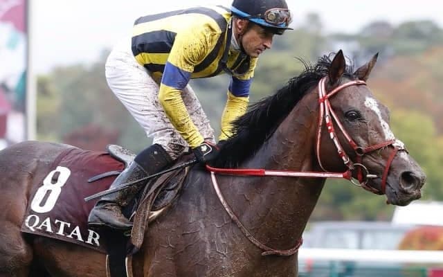 海外を転戦し重賞連勝 現役引退の古豪ステイフーリッシュの活躍をプレイバック