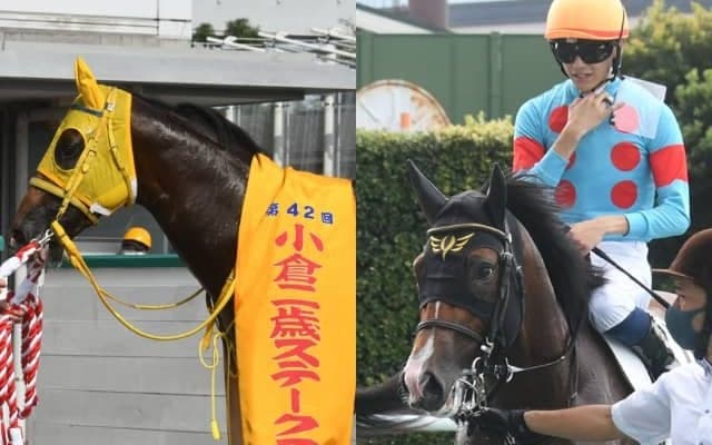 「全頭ごぼう抜き」の衝撃再び 京王杯2歳Sの出走想定馬18頭