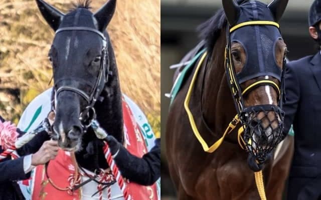 昨年末にGI制した3歳馬が古馬と初対決 アルゼンチン共和国杯の出走想定馬21頭