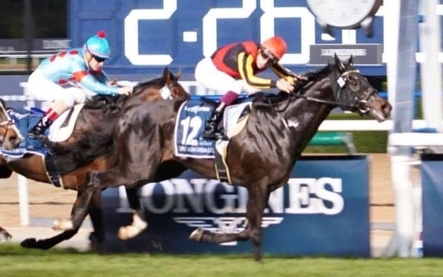 【天皇賞・秋】シャフリヤールは5枠8番へ