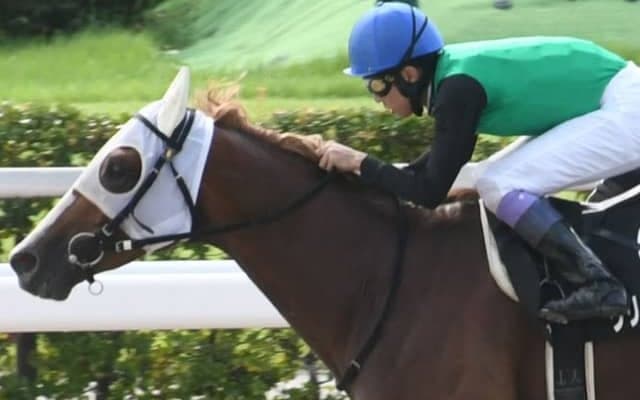 クリノドラゴンが繰り上がり武豊騎手とJBCクラシック参戦 父の産駒総数はわずか25頭