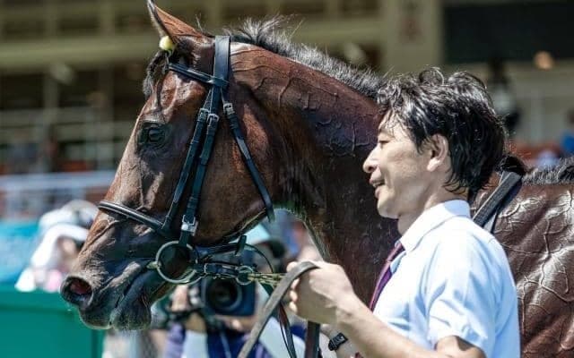 【今日の注目ポイント】阪神でマイルCS前哨戦のスワンS、東京ではアルテミスS