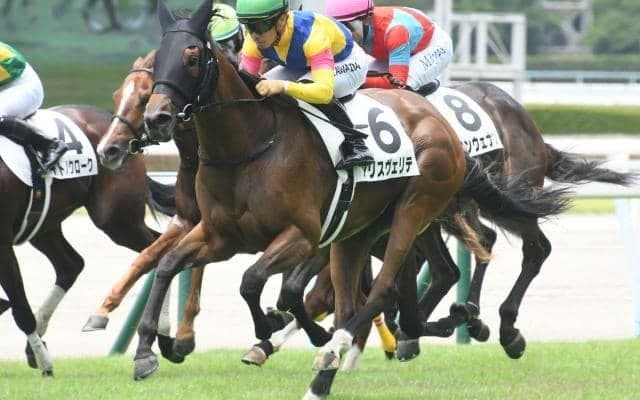 【アルテミスS予想】今年もスローの切れ味勝負必至!? 若き牝馬の出世レース