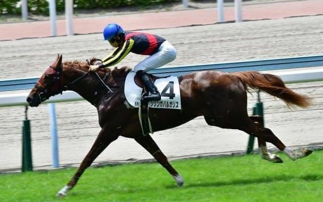 GI・4勝をあげた名牝の全弟がダートで初勝利 後続に2馬身差の快勝