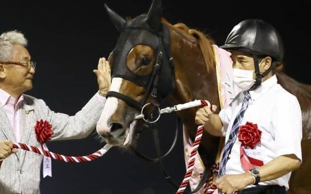 【盛岡・JBCレディスクラシック枠順確定】ショウナンナデシコは2枠2番、グランブリッジは7枠9番