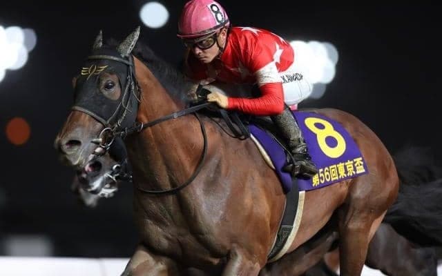 【盛岡・JBCスプリント枠順確定】レッドルゼルは1枠1番、テイエムサウスダンは8枠13番