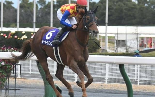 【盛岡・JBCクラシック枠順確定】テーオーケインズは7枠13番、メイショウハリオは4枠6番