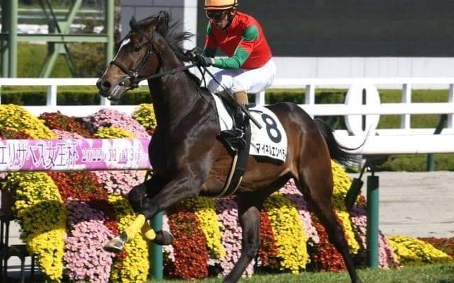 【阪神5R新馬戦結果】ユーバーレーベンの弟マイネルエンペラーが最内から抜け出して勝利