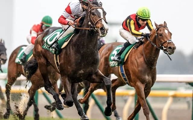 【天皇賞・秋予想】3歳馬にはやっぱりつらい？ 直線の長い東京競馬場で求められるもの