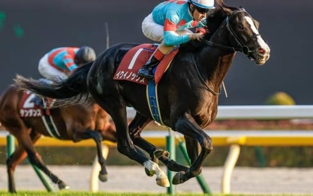 【天皇賞・秋 前日オッズ】イクイノックスが2.9倍で1番人気、4頭が10倍を切る