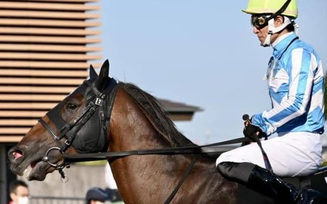 地方からの移籍馬がJRA2戦目で5馬身差圧勝！ 特別戦で一度も先頭譲らず逃げ切り勝ち