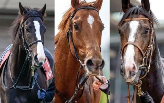 【天皇賞秋】競馬ファン2万6000人に聞いた『最も強いと思う3歳馬』は？