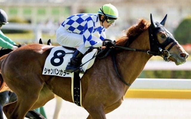 【新馬/東京5R】戸崎圭がJRA1300勝！シャンパンカラーがデビューV