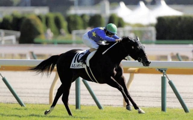 【新馬/東京4R】エピファネイア産駒 ルミノメテオールがデビューV