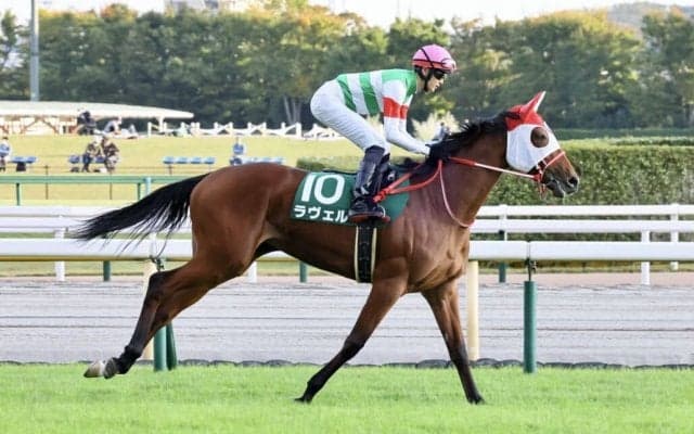 【アルテミスS】坂井「身体能力高い」ラヴェルがデビュー2連勝