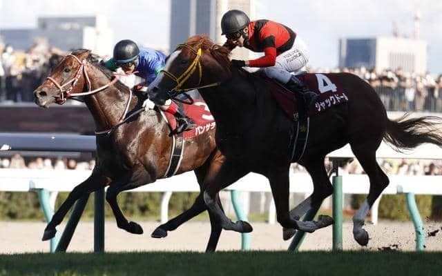 【天皇賞・秋予想】秋の古馬王道路線が開幕 定量GIらしく堅い決着が目立つ