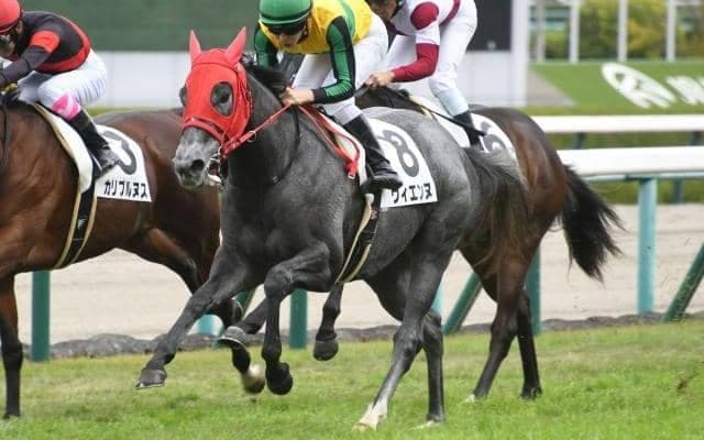 【阪神4R新馬戦結果】エピファネイア産駒ヴィエンヌが追い込みを決めてデビュー勝ち