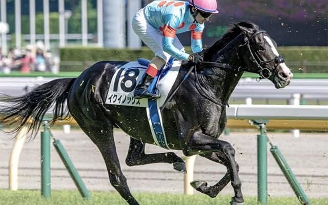 【天皇賞・秋・馬体重】イクイノックスは488kg(+4)、シャフリヤールは456kg(前計不)