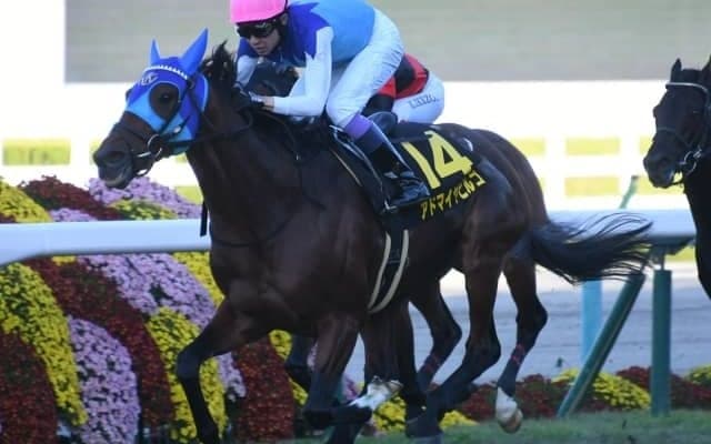 【カシオペアS結果】武豊騎手騎乗アドマイヤビルゴが逃げる競馬で久々のV