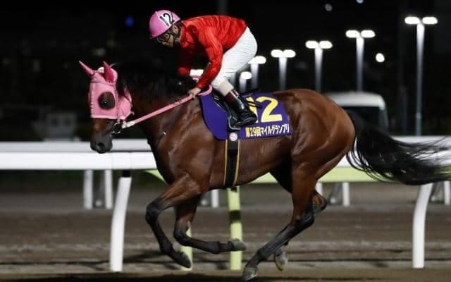 JpnI馬2頭が出走するハンデ重賞/大井・サンタアニタT枠順