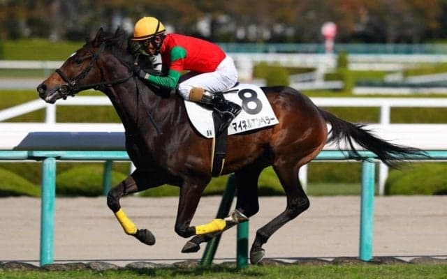 【新馬/阪神5R】ユーバーレーベン全弟、マイネルエンペラーが最内を突き抜ける