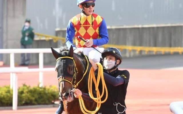 【アルゼンチン共和国杯】テーオーロイヤル、キラーアビリティなどが登録