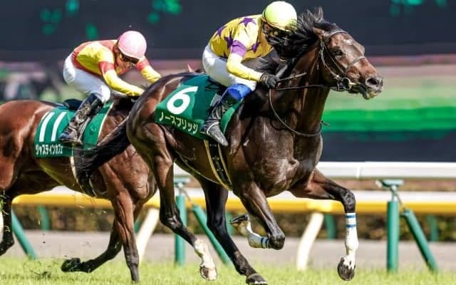 10月30日の競走中止、疾病の一覧 岩田康誠騎手の騎乗停止など/東京・阪神・新潟