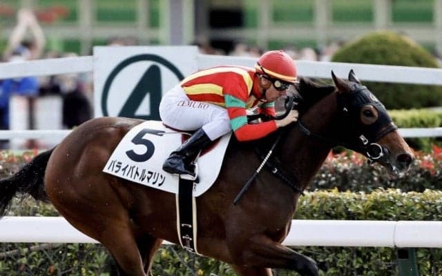 【新馬/東京4R】パライバトルマリンが5馬身差圧勝