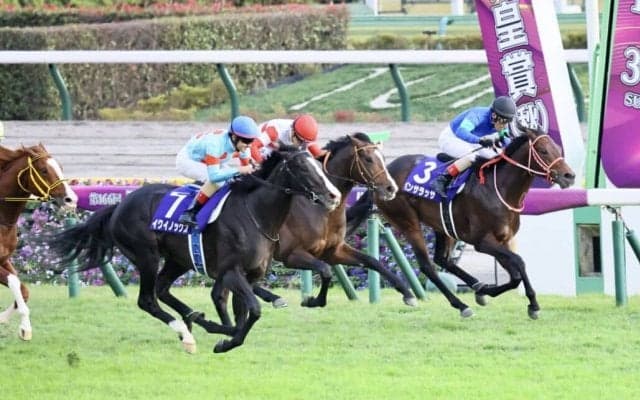 【天皇賞・秋】ルメール騎乗 イクイノックスが快勝！G1・1番人気馬の呪いをストップ