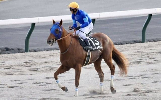 【ペルセウスS】レモンポップが4連勝