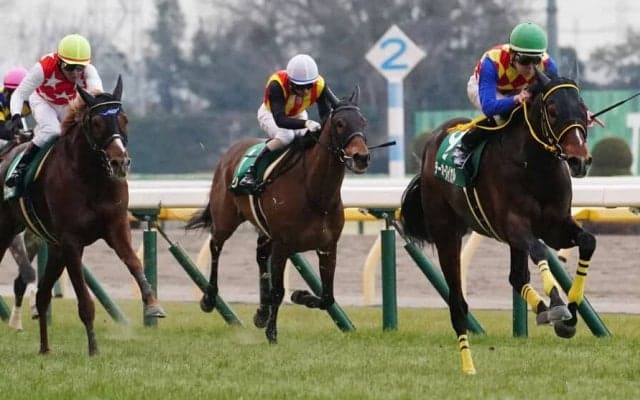 【アルゼンチン共和国杯登録馬】テーオーロイヤルなど22頭