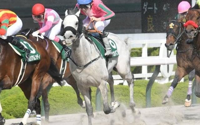 【みやこS見どころ】東京大賞典4連覇中のオメガパフュームが秋初戦を迎える