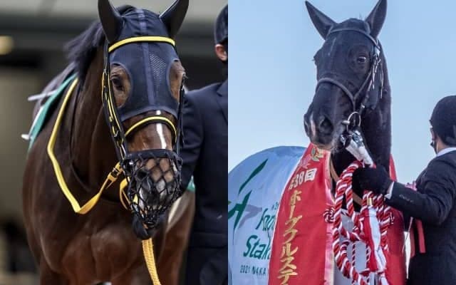 【アルゼンチン共和国杯想定騎手】テーオーロイヤルは引き続き菱田騎手、キラーアビリティはC.デムーロ騎手と初コンビ