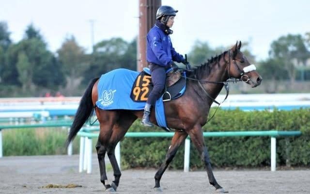 祖母は英G1勝ち馬のレッドロスタムがデビュー/関東馬メイクデビュー情報