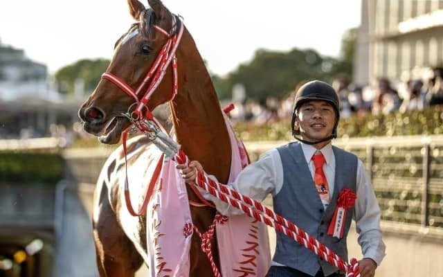 キタサンブラック産駒の成功パターン、前途洋々で大物感がある