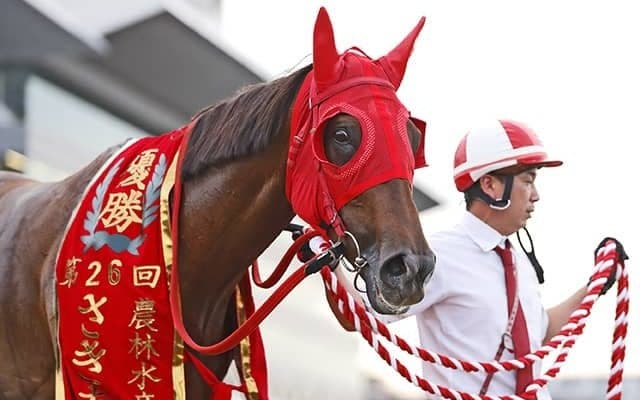 交流重賞5勝の8歳牝馬が第1位！ 第5回地方競馬ファン投票結果発表